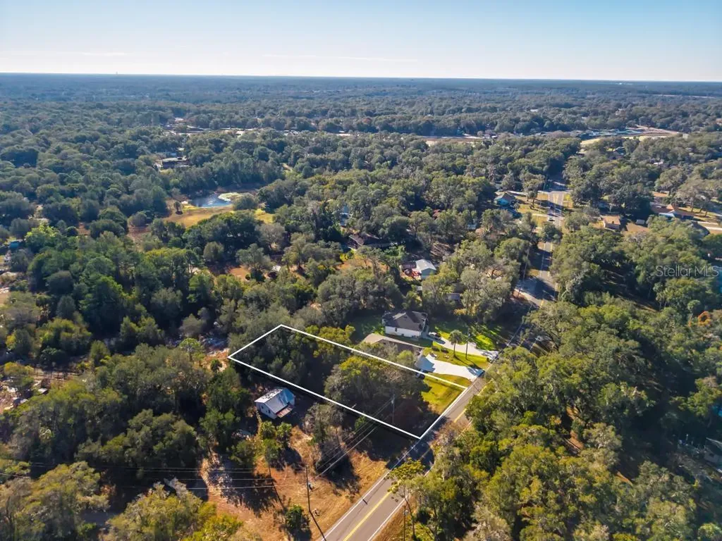 31060 Lochmore Circle Sorrento FL 32776