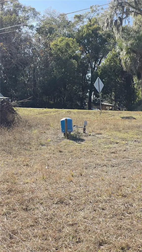 31060 Lochmore Circle Sorrento FL 32776
