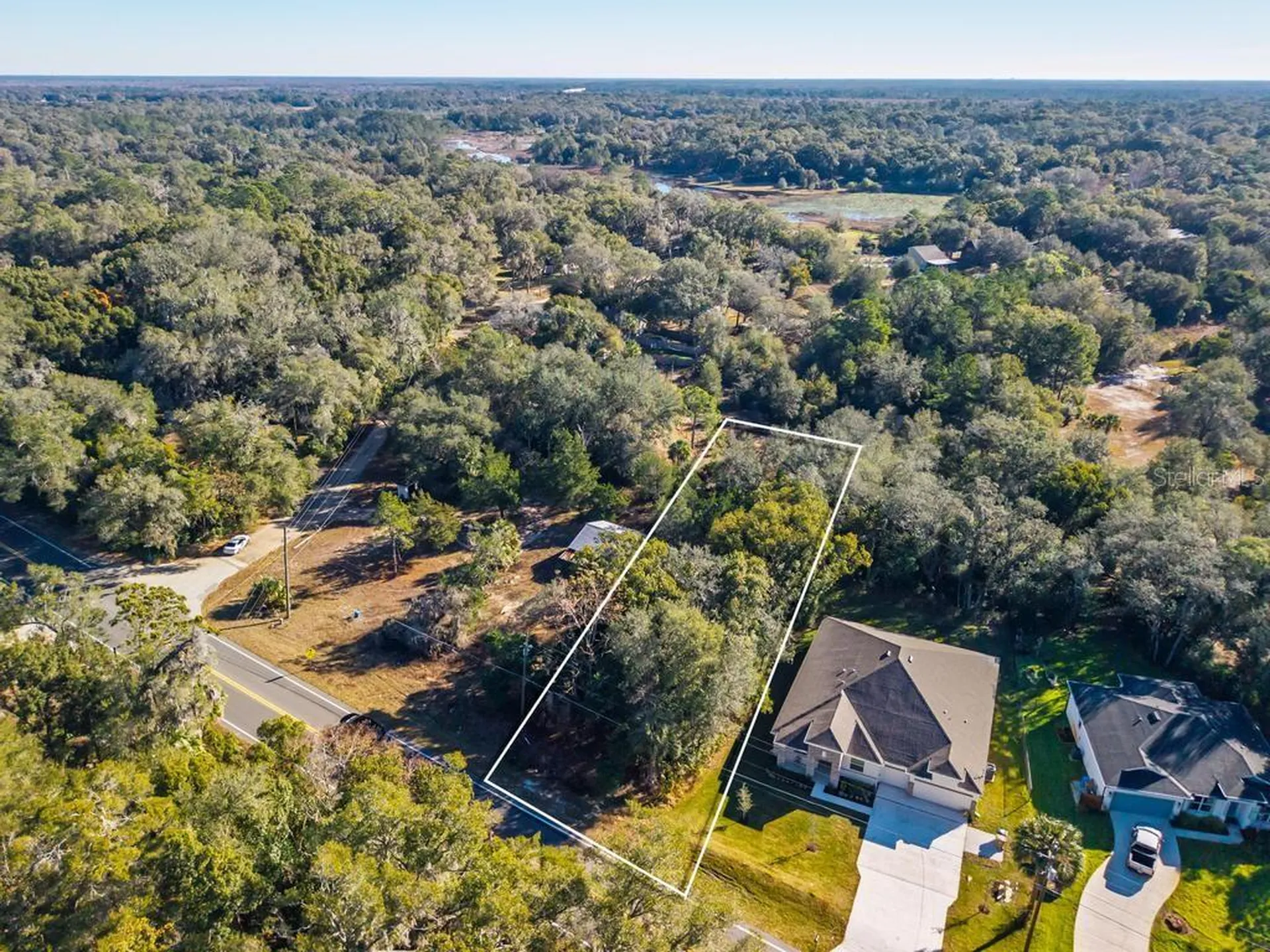 31060 Lochmore Circle Sorrento FL 32776