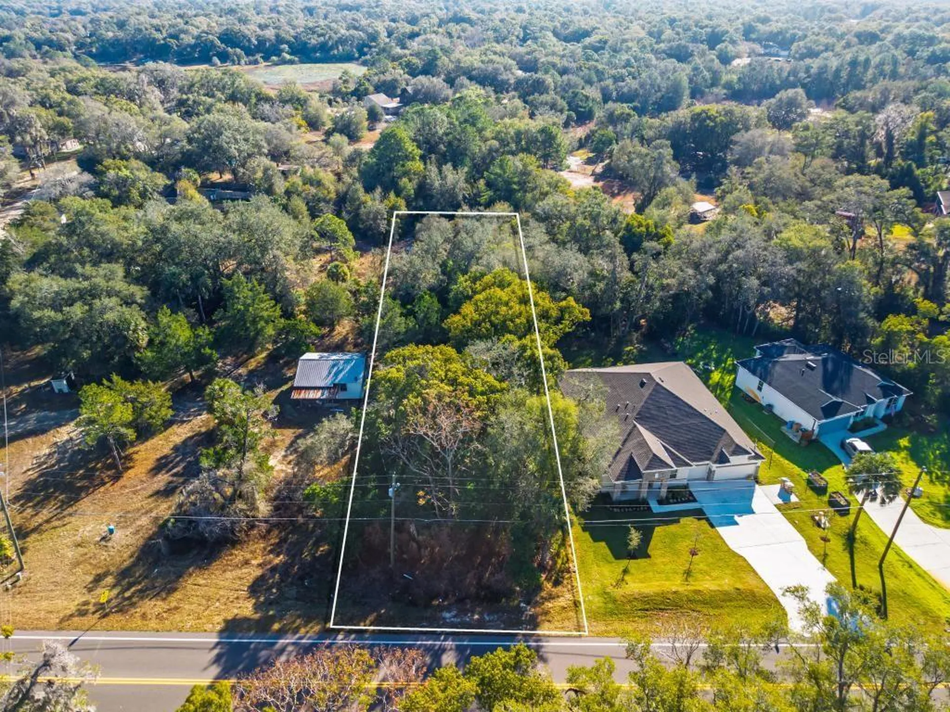 31060 Lochmore Circle Sorrento FL 32776
