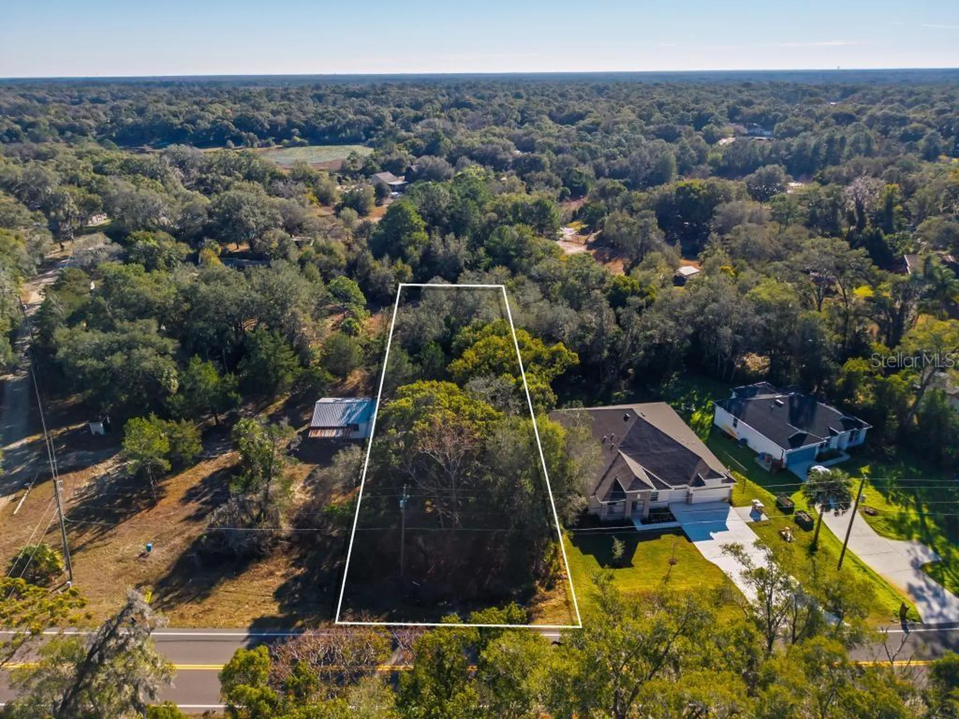 31060 Lochmore Circle Sorrento FL 32776