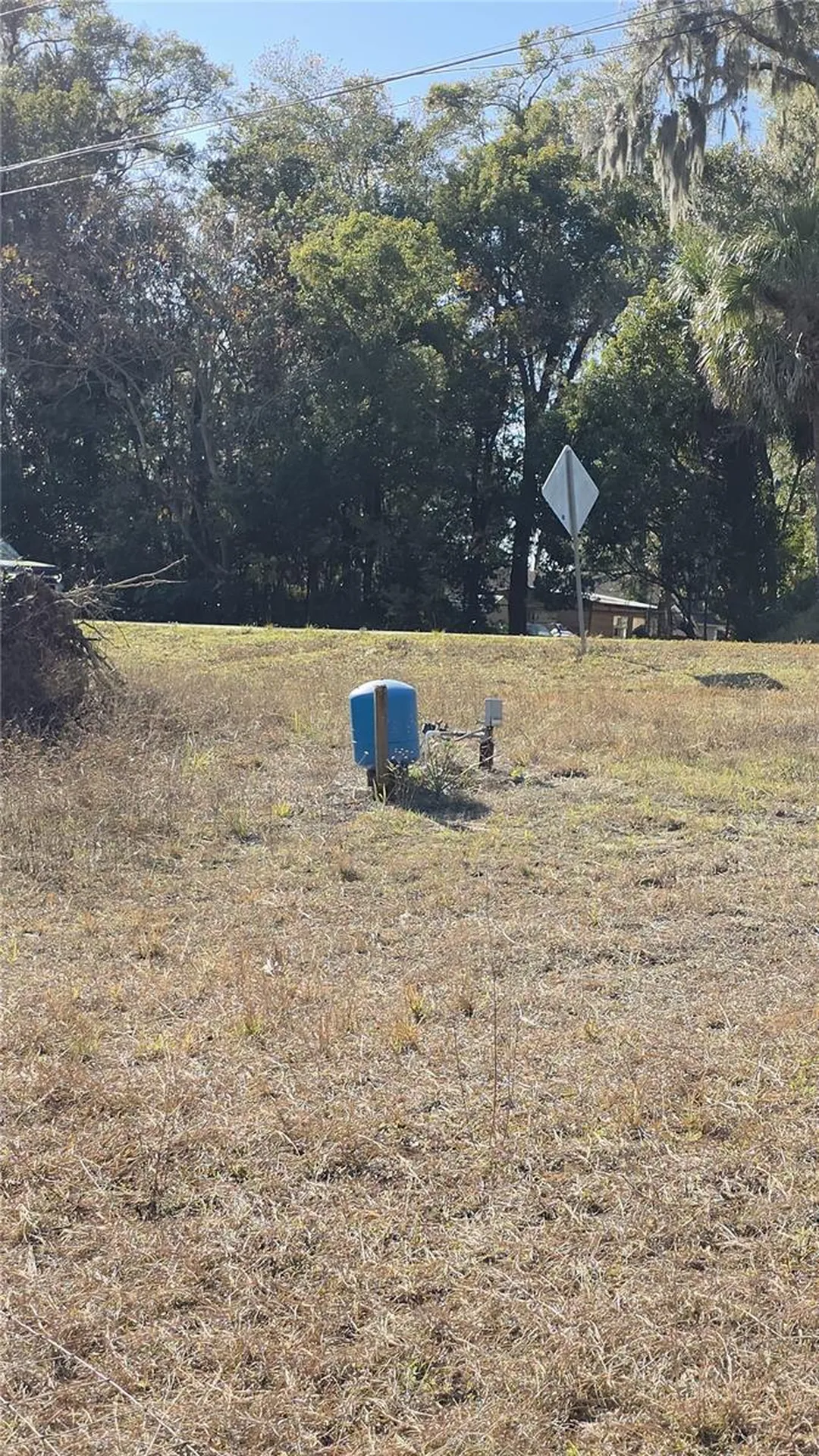 31060 Lochmore Circle Sorrento FL 32776