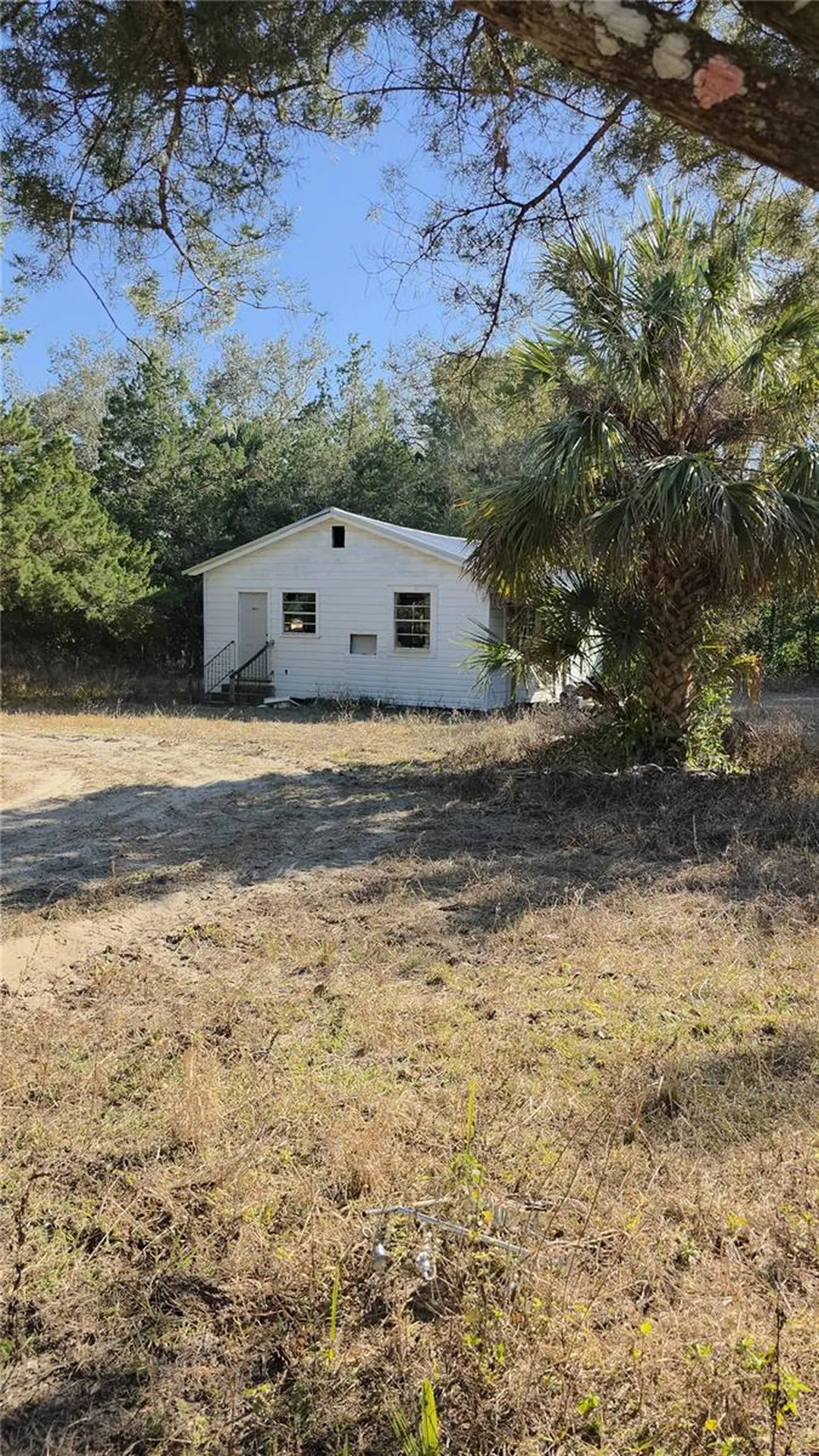 31060 Lochmore Circle Sorrento FL 32776