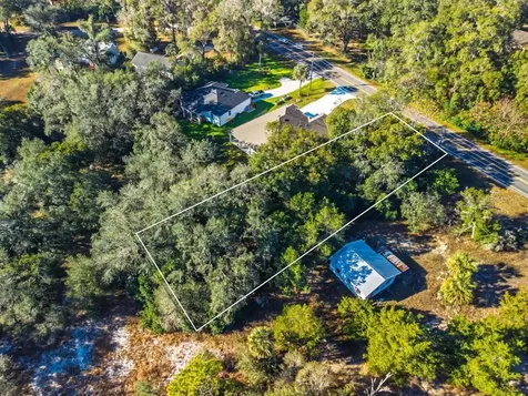31060 Lochmore Circle Sorrento FL 32776