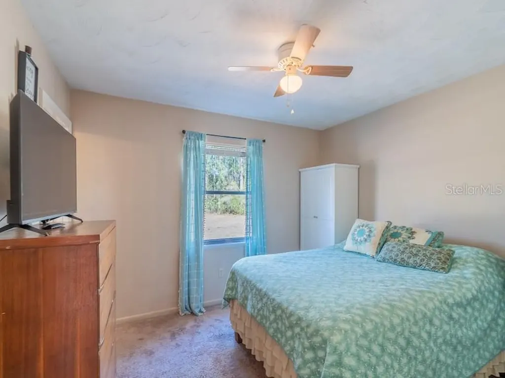 14641 NE 154th Street Fort Mc Coy FL 32134