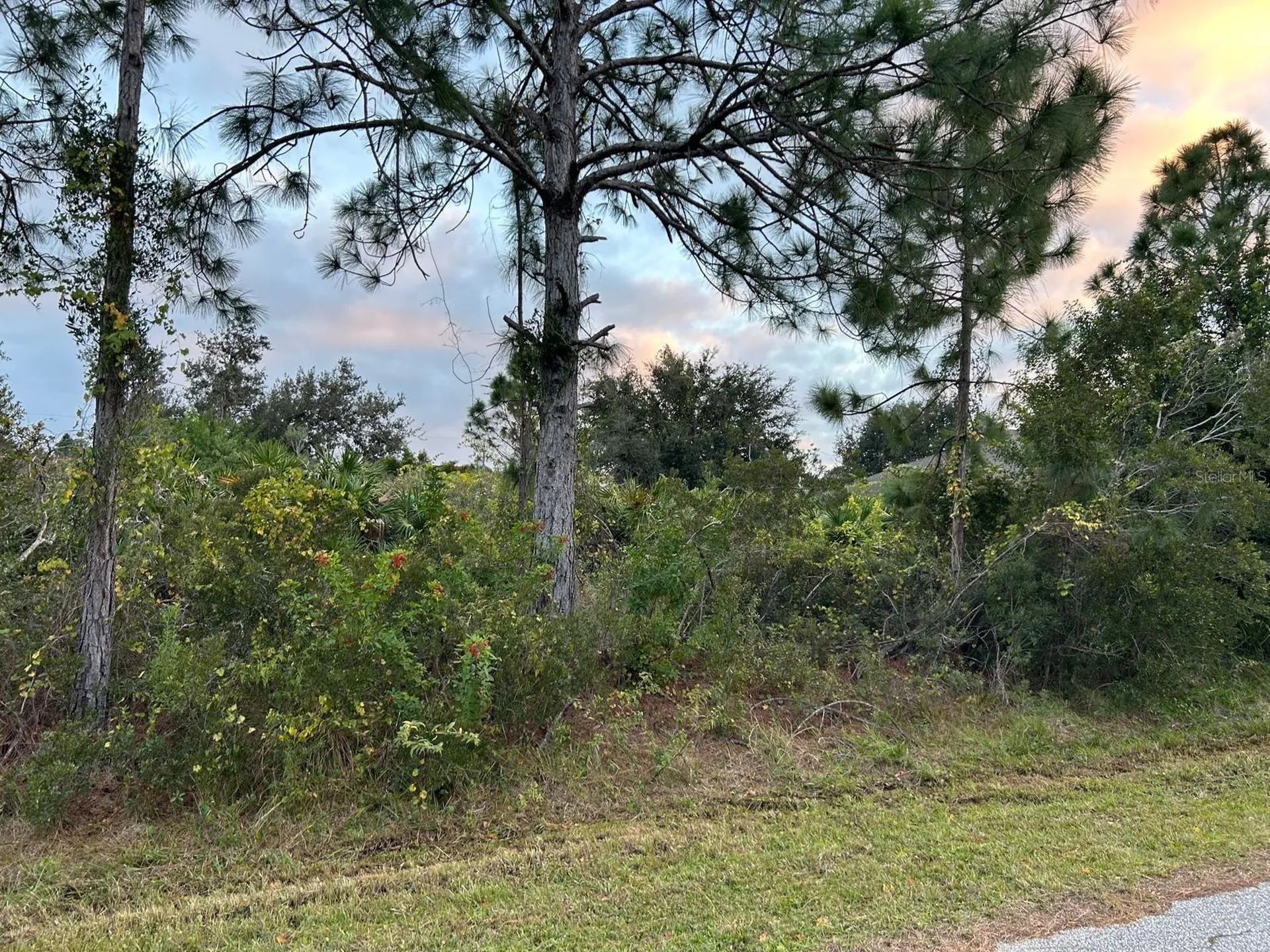 Ohio Road North Port FL 34291
