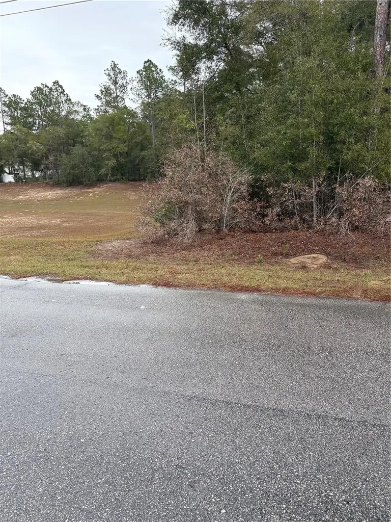 SW 202nd Ct &sw 63rd Place Dunnellon FL 34434