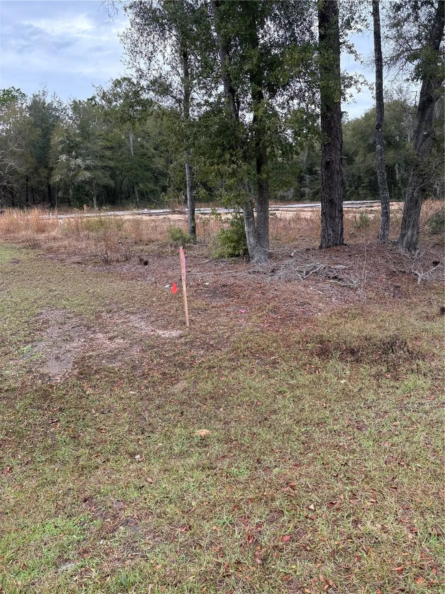 SW 202nd Ct &sw 63rd Place Dunnellon FL 34434