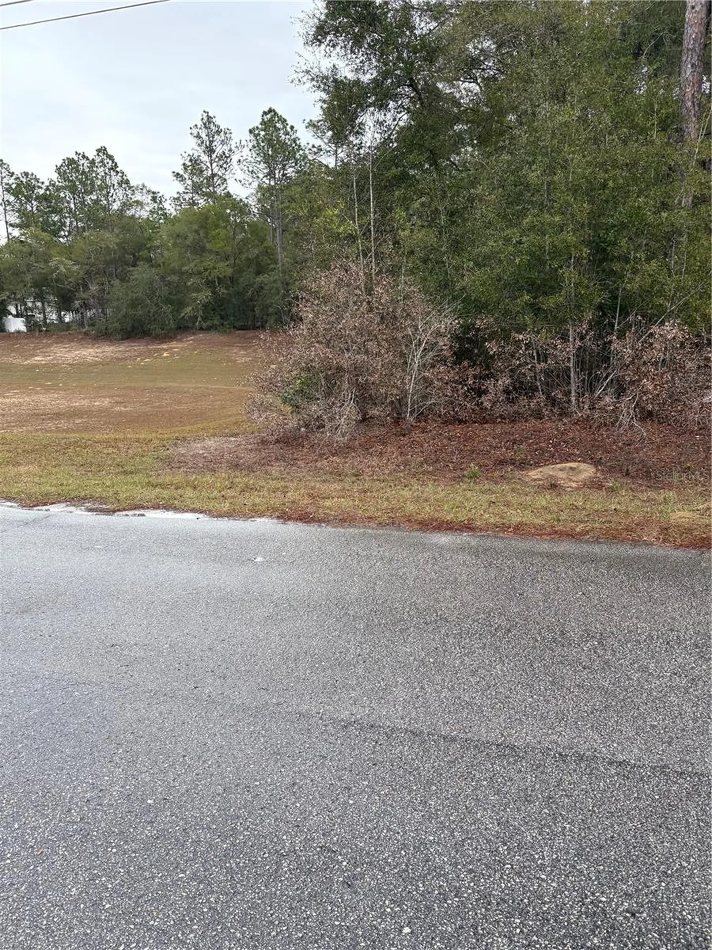SW 202nd Ct &sw 63rd Place Dunnellon FL 34434
