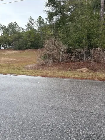 SW 202nd Ct &sw 63rd Place Dunnellon FL 34434