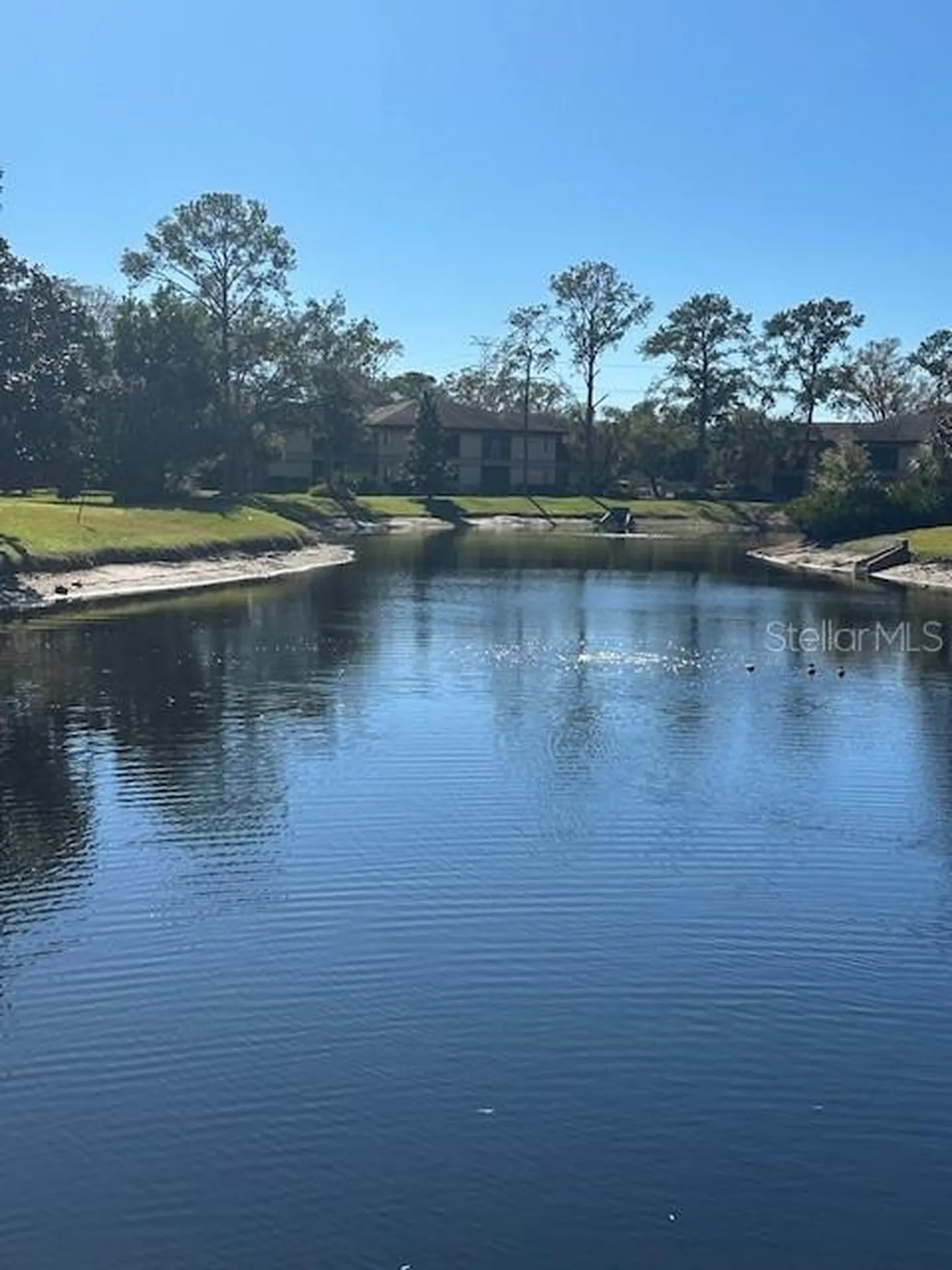 2683 Sabal Springs Circle Clearwater FL 33761