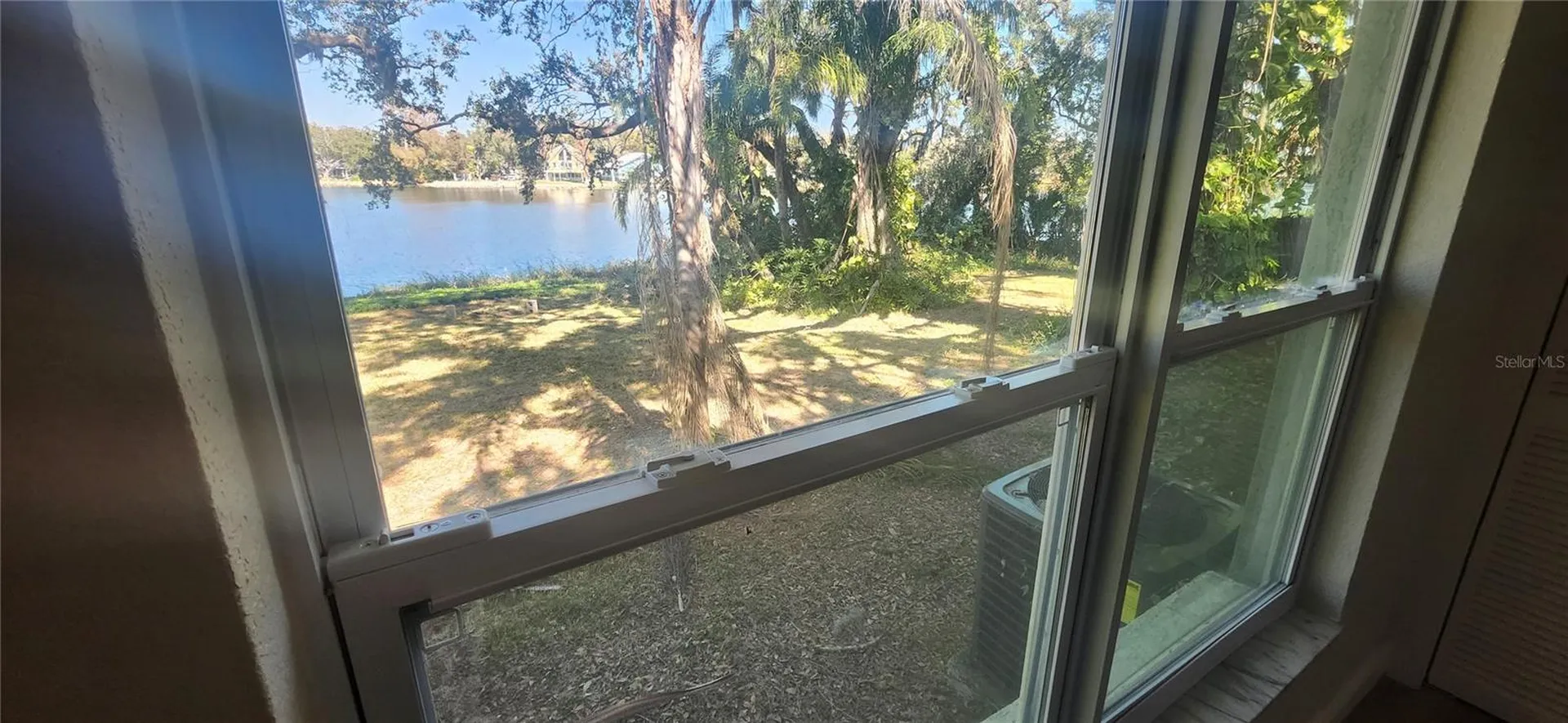 3606 River Grove Drive Tampa FL 33610