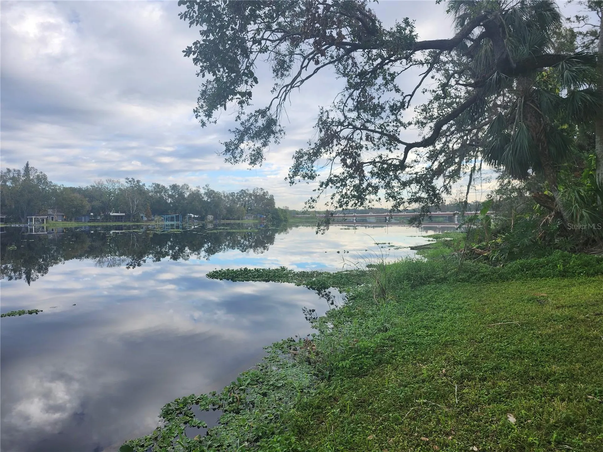 3606 River Grove Drive Tampa FL 33610