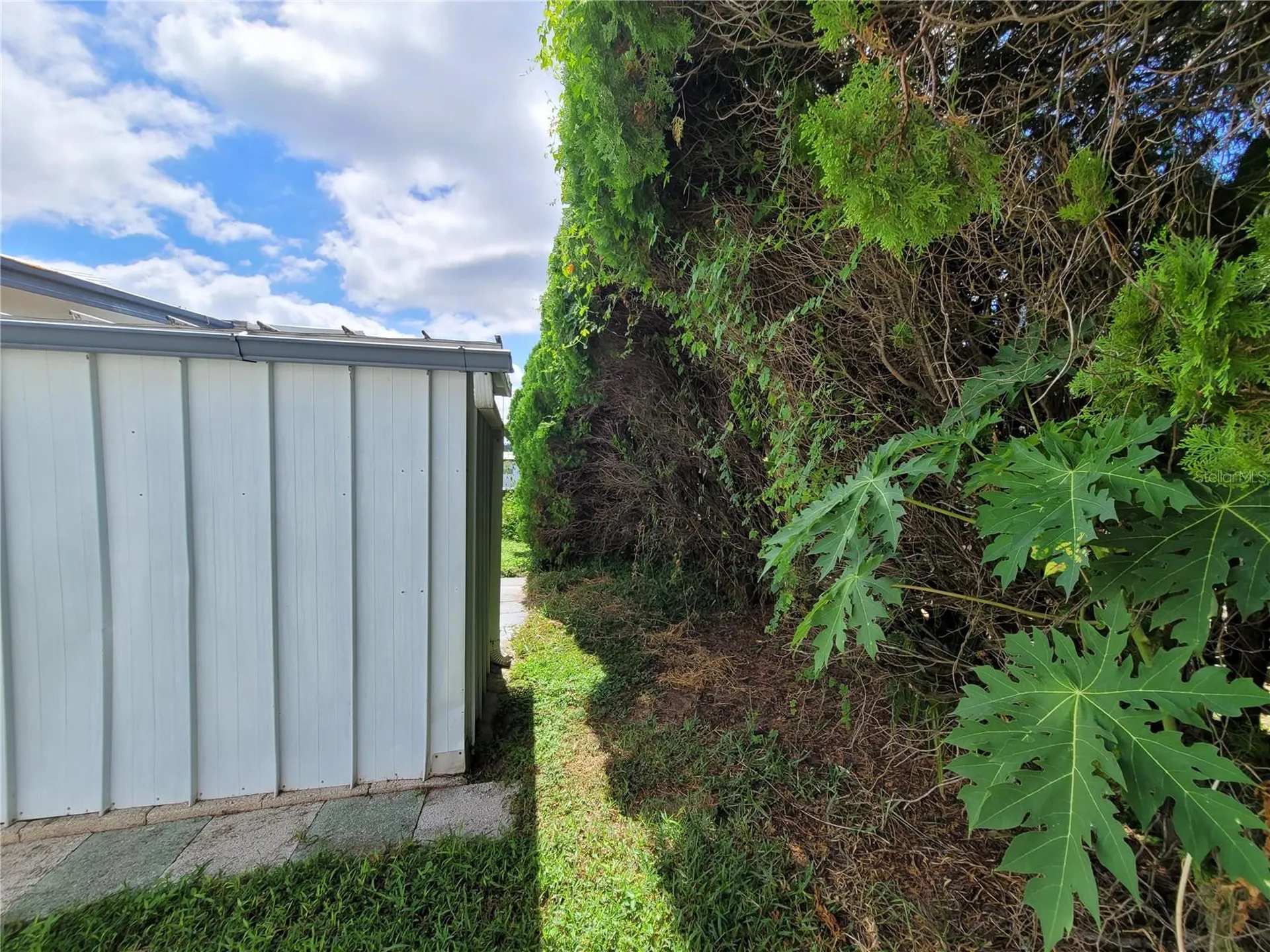 7209 El Meyers Street Zephyrhills FL 33541