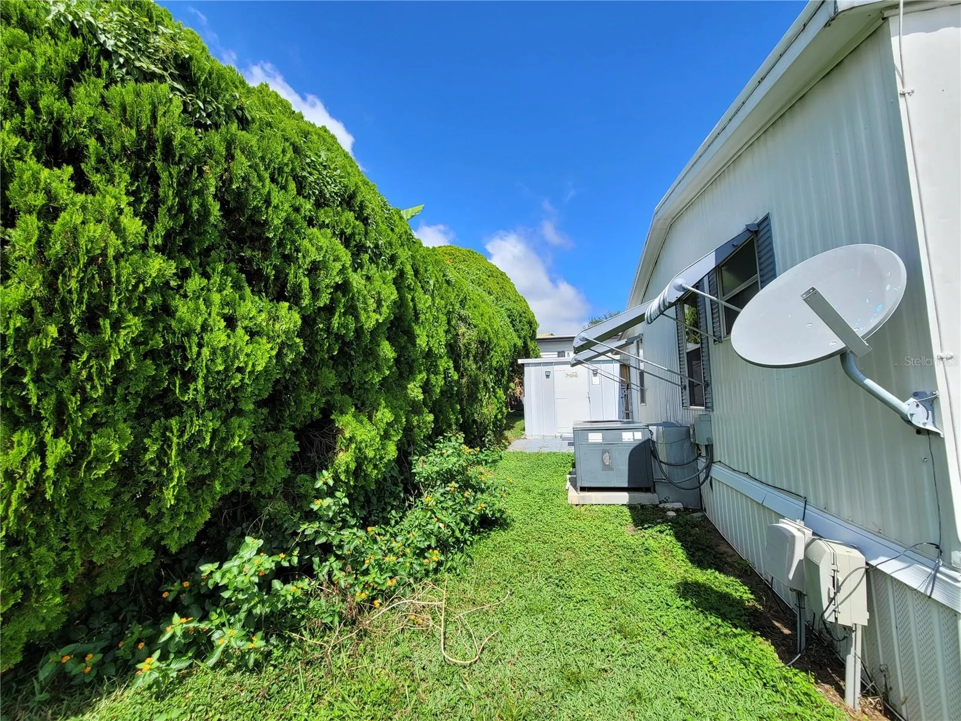 7209 El Meyers Street Zephyrhills FL 33541