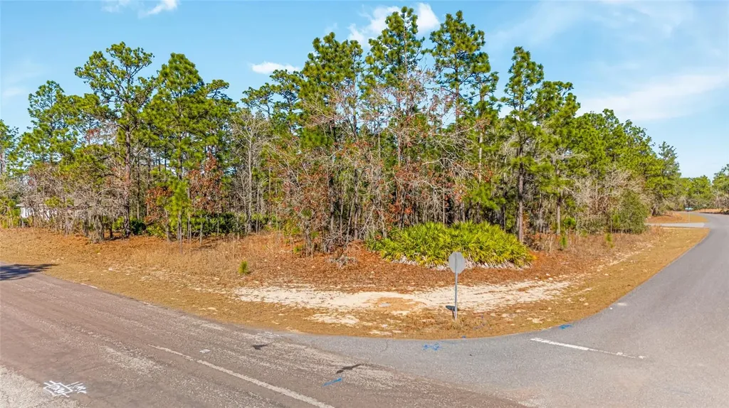 6932 N Glenridge Circle Citrus Springs FL 34434