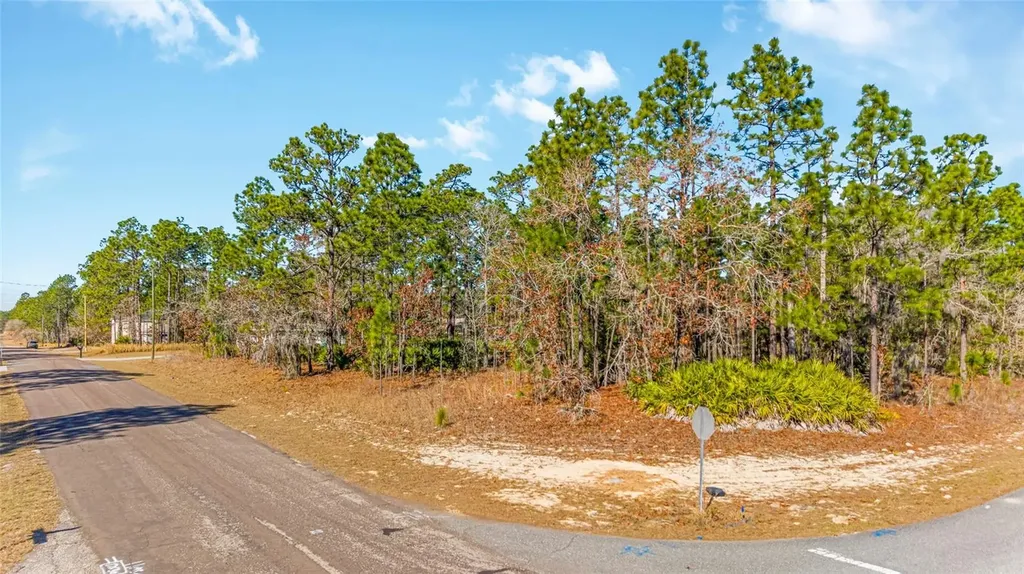 6932 N Glenridge Circle Citrus Springs FL 34434