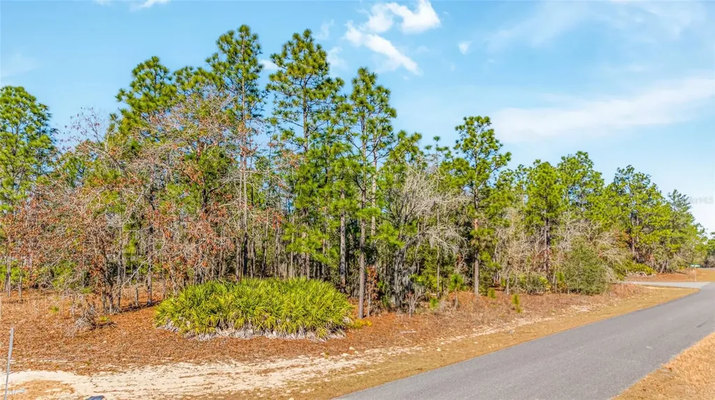 6932 N Glenridge Circle Citrus Springs FL 34434