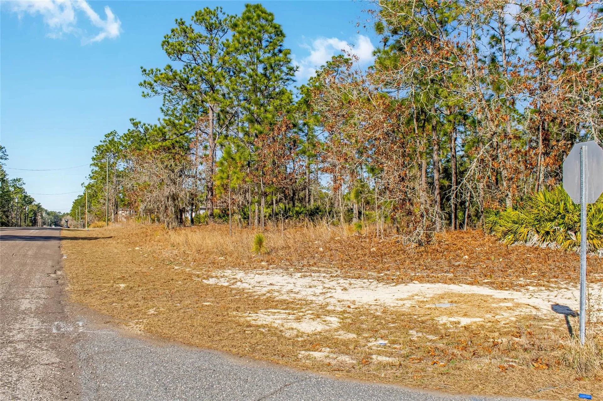 6932 N Glenridge Circle Citrus Springs FL 34434