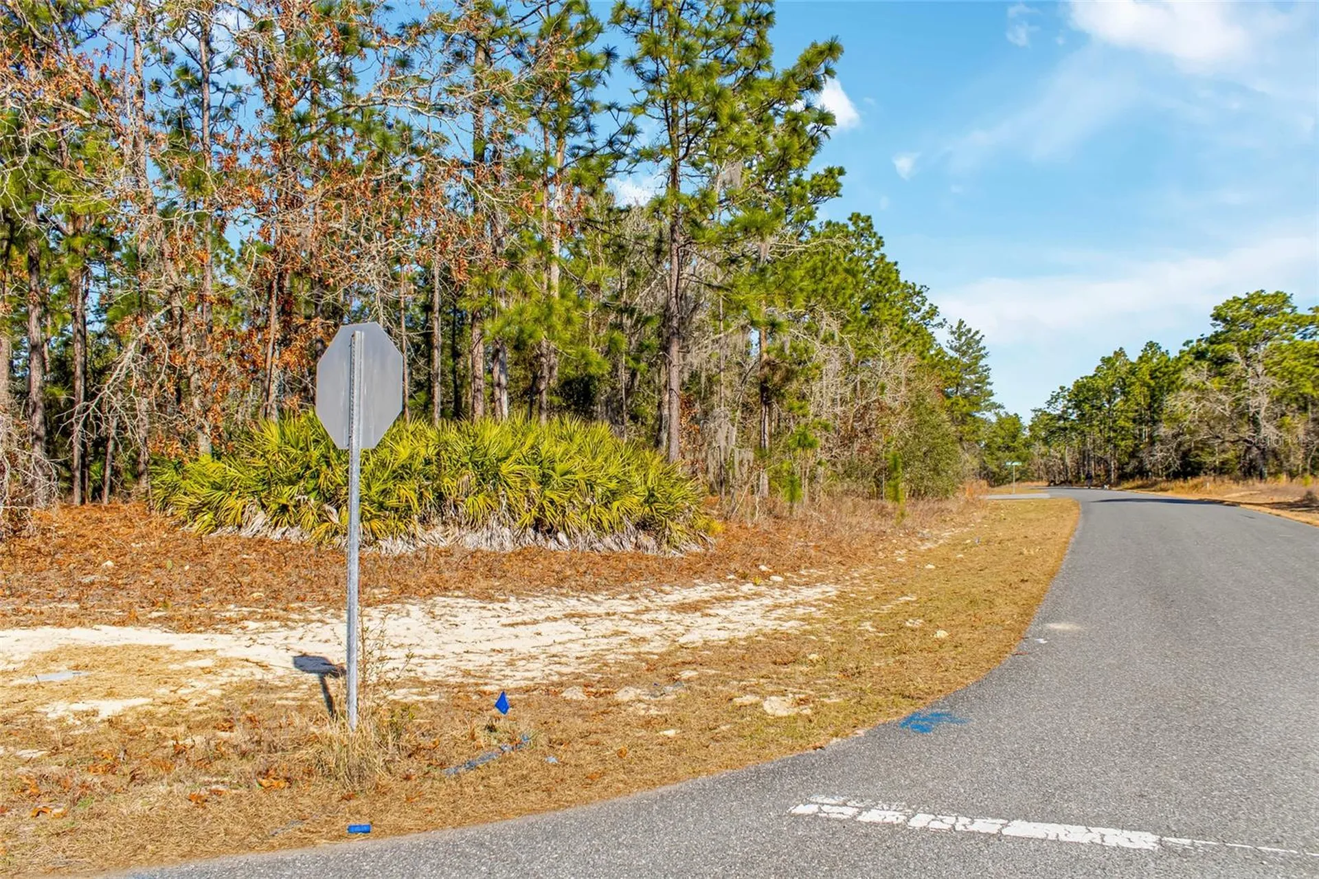 6932 N Glenridge Circle Citrus Springs FL 34434