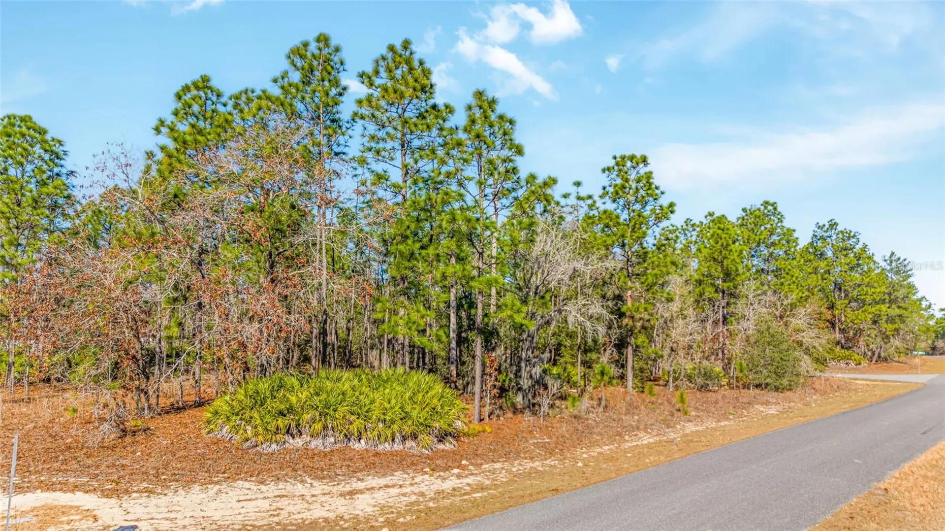 6932 N Glenridge Circle Citrus Springs FL 34434