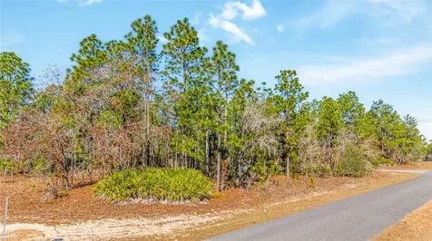 6932 N Glenridge Circle Citrus Springs FL 34434
