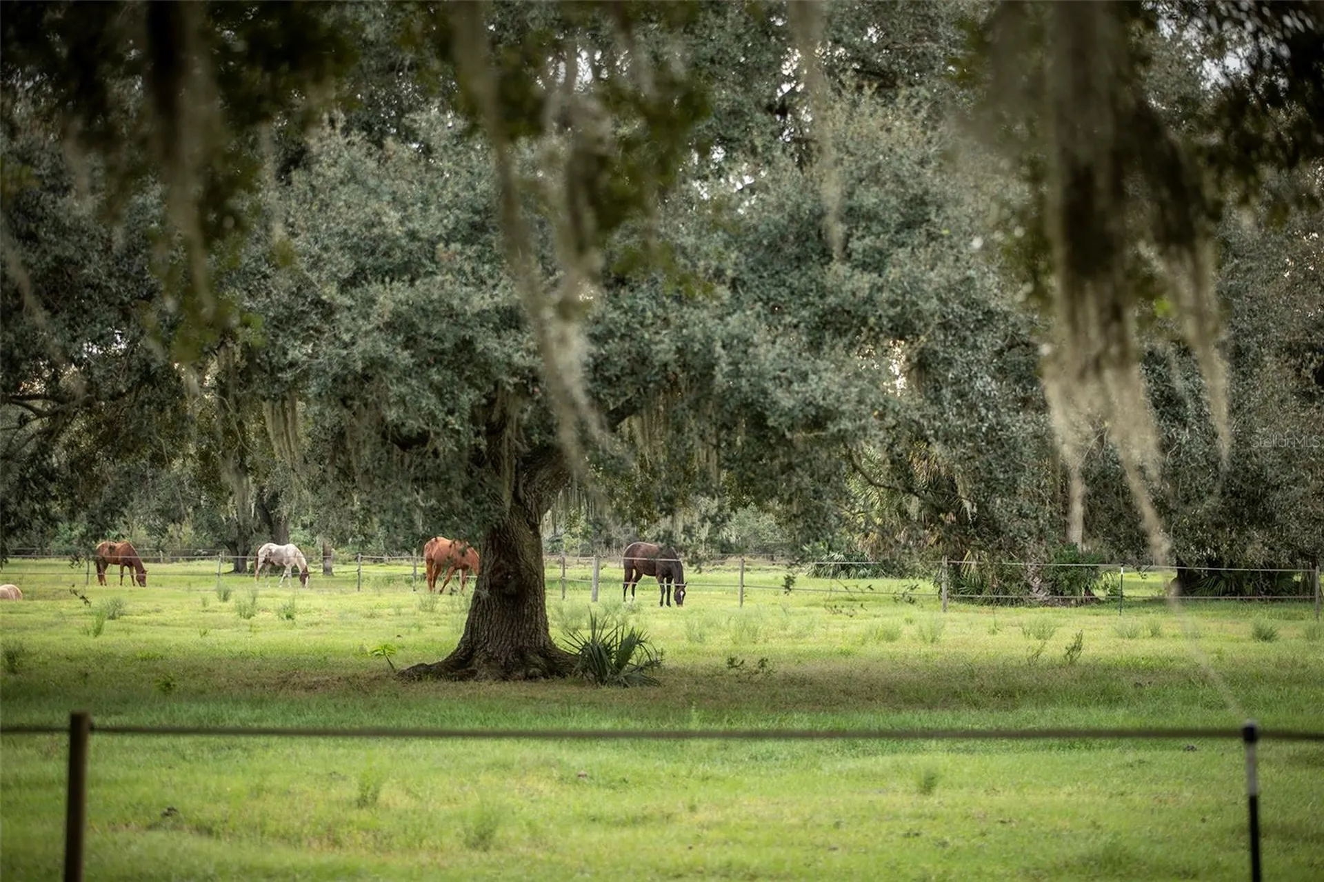 32801 Hwy 441 N Okeechobee FL 34972