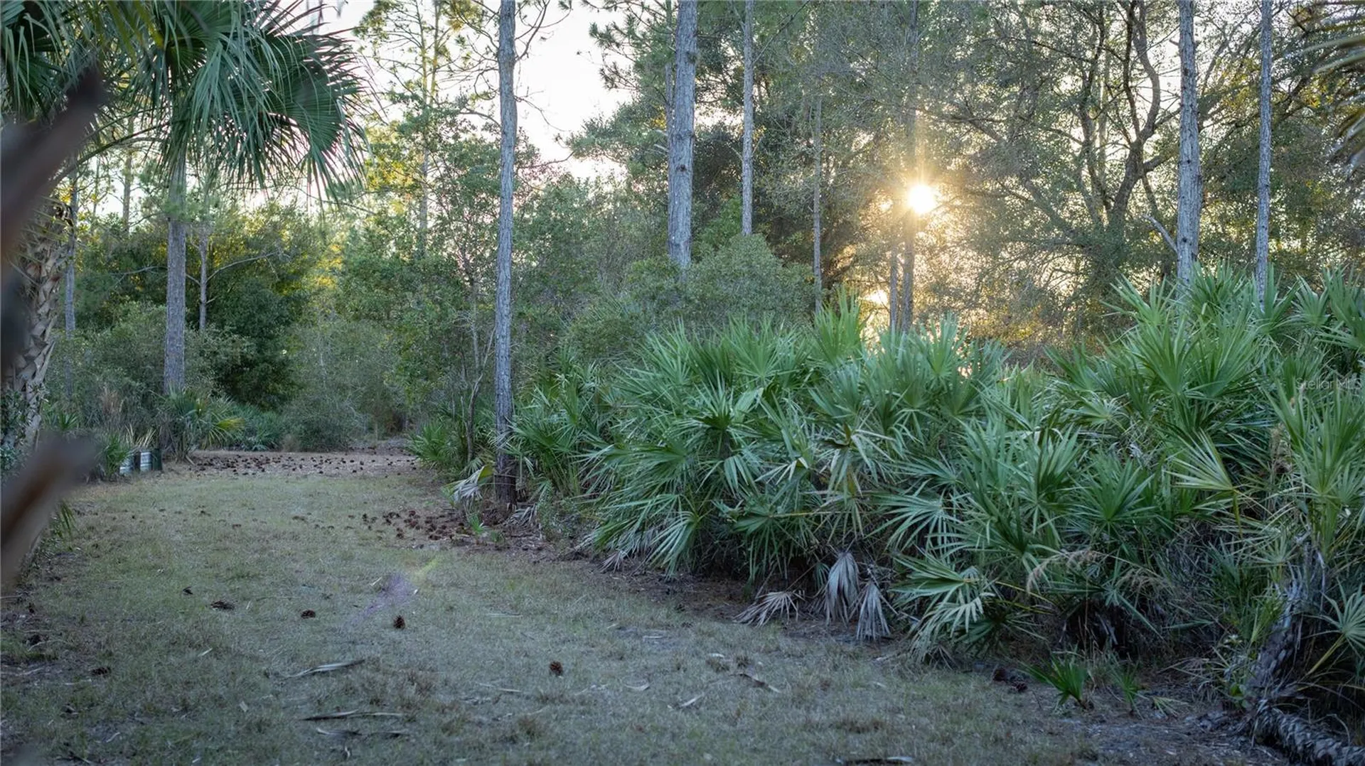 32801 Highway 441 N Okeechobee FL 34972