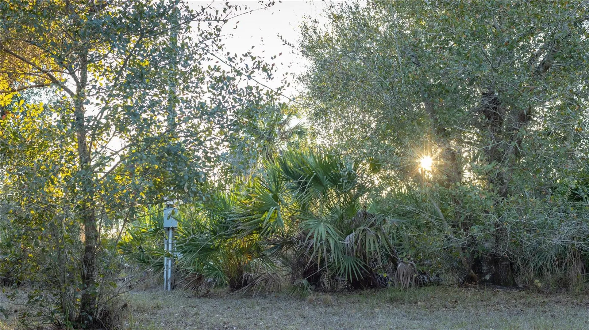 32801 Highway 441 N Okeechobee FL 34972