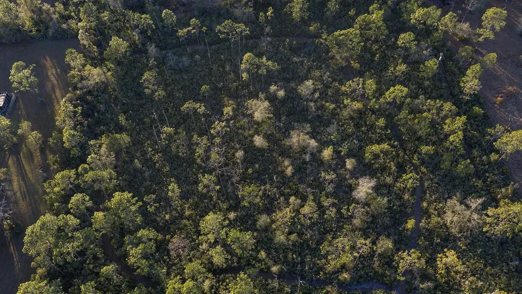 32801 Highway 441 N Okeechobee FL 34972