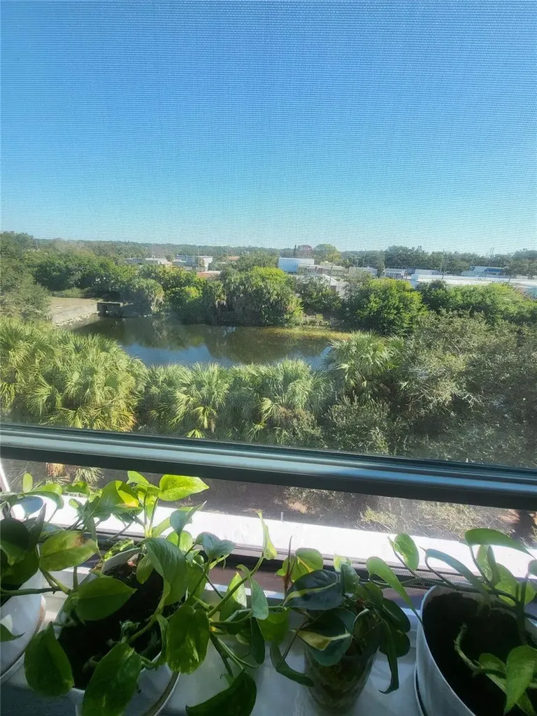 701 S Madison Avenue Clearwater FL 33756