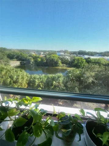 701 S Madison Avenue Clearwater FL 33756