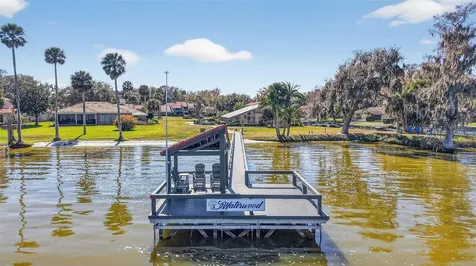 301 Clusterwood Drive Yalaha FL 34797