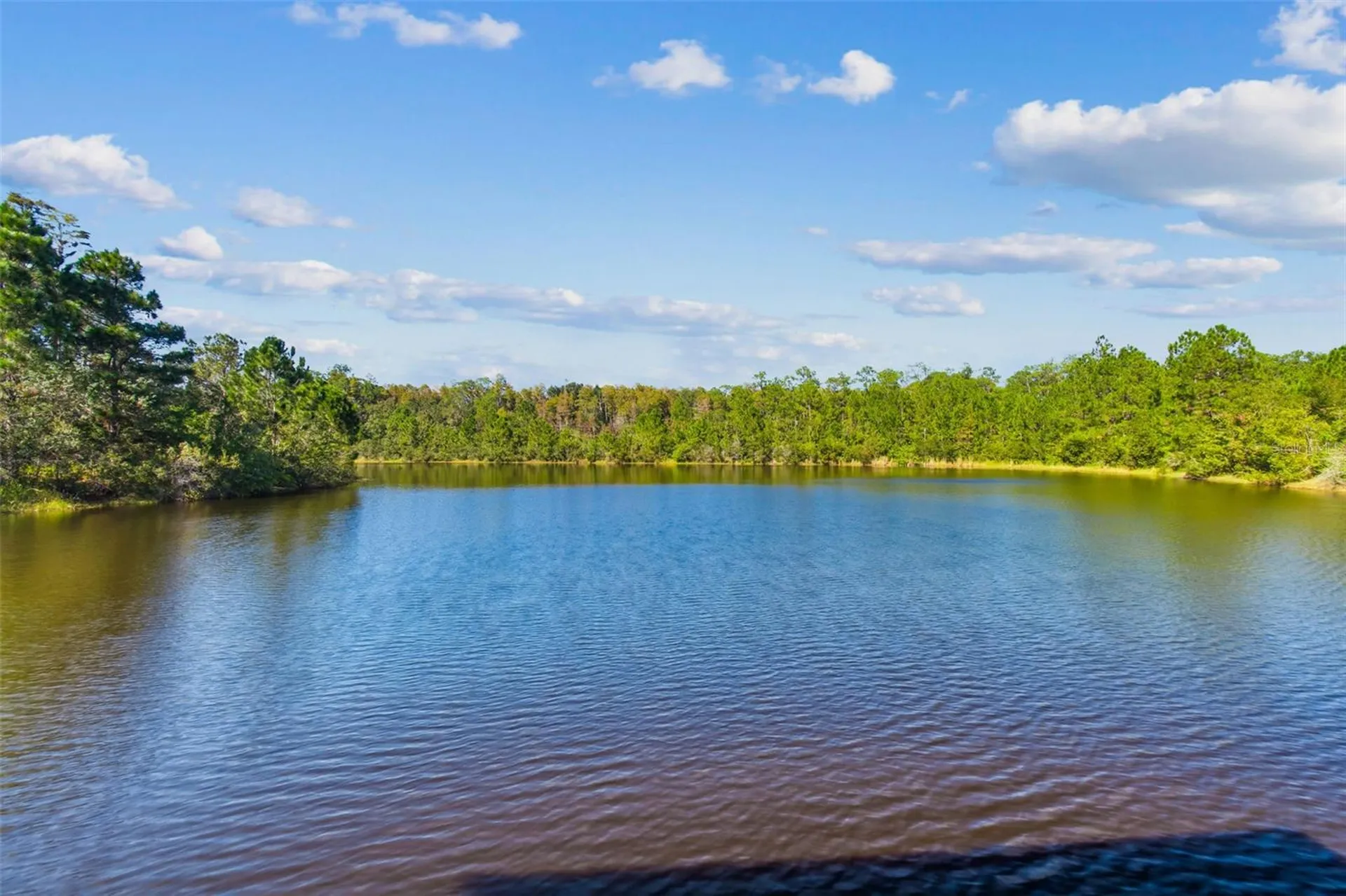 19714 Lonesome Pine Drive Land O Lakes FL 34638