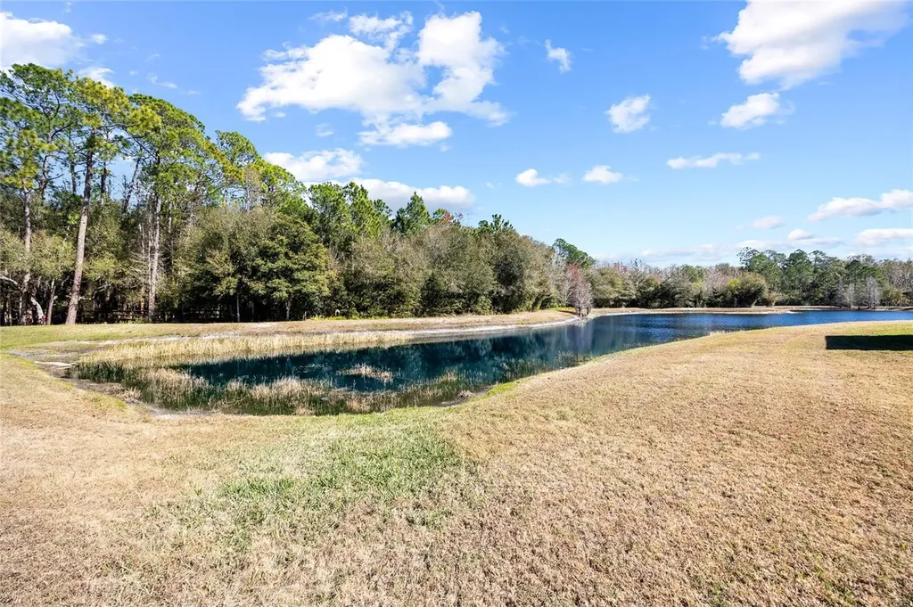 1118 Wright Swynde Court Wesley Chapel FL 33543