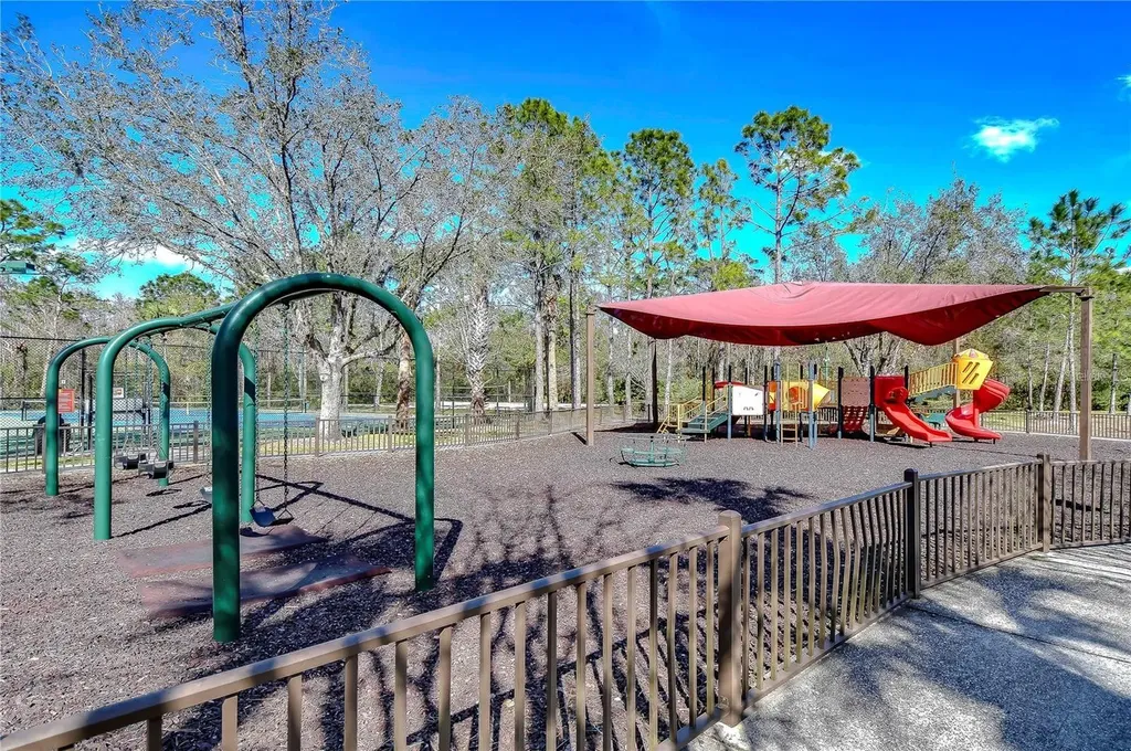 1118 Wright Swynde Court Wesley Chapel FL 33543