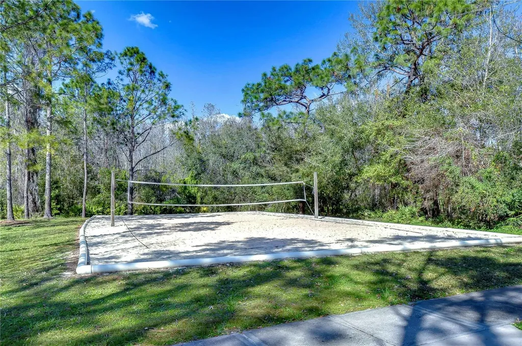 1118 Wright Swynde Court Wesley Chapel FL 33543