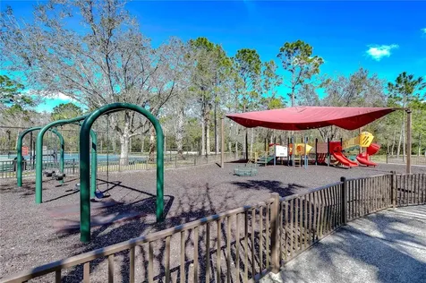 1118 Wright Swynde Court Wesley Chapel FL 33543