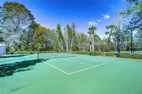 1118 Wright Swynde Court Wesley Chapel FL 33543