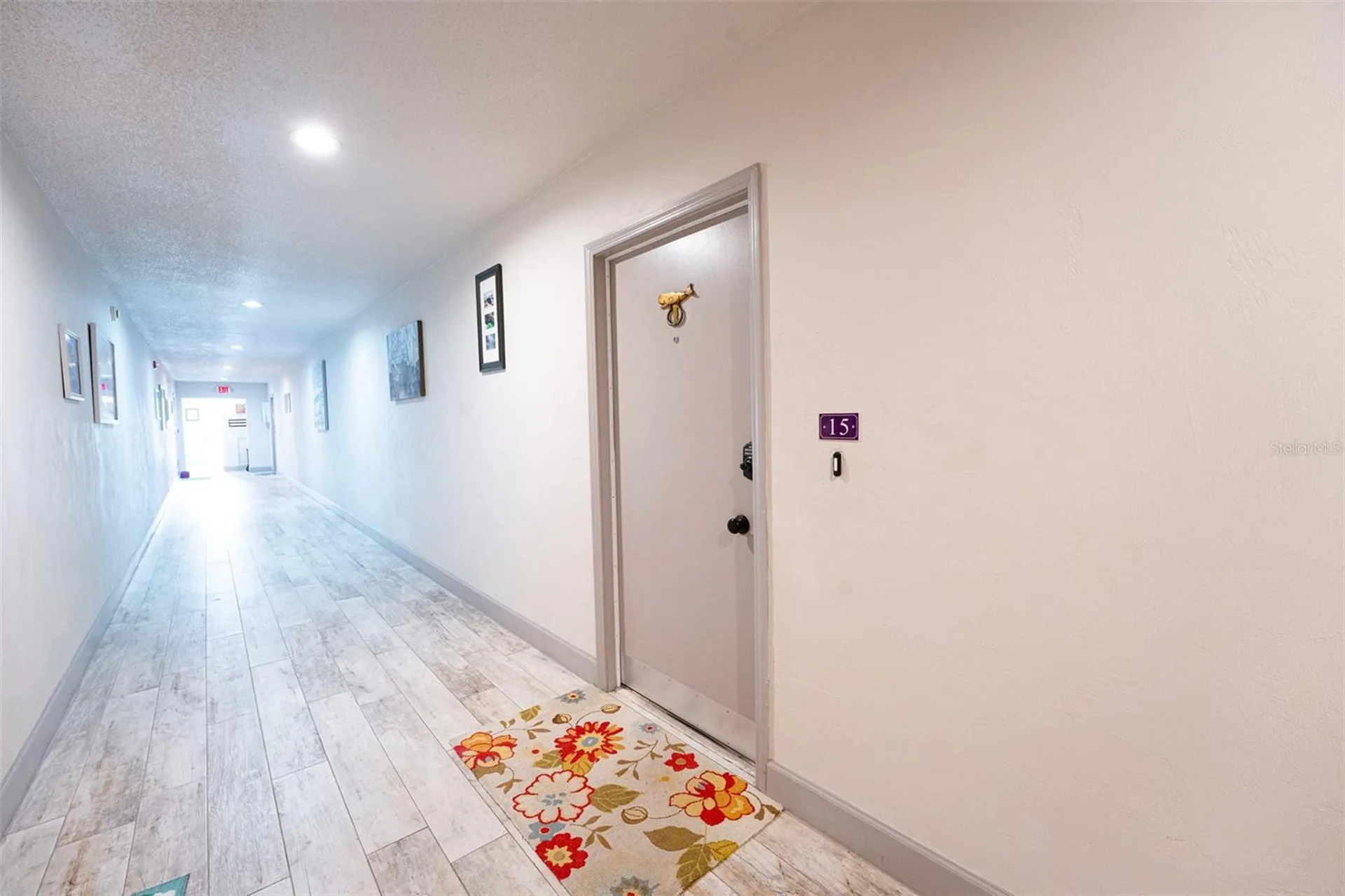 3800 Saxon Drive New Smyrna Beach FL 32169