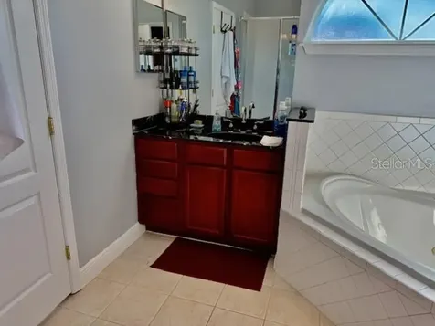 17340 Chateau Pine Way Clermont FL 34711
