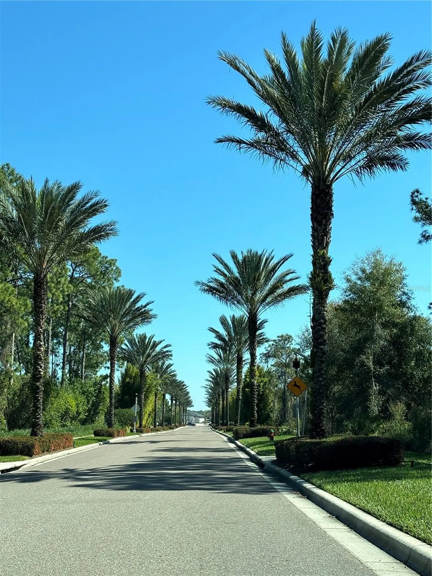 14501 Grove Resort Avenue Winter Garden FL 34787