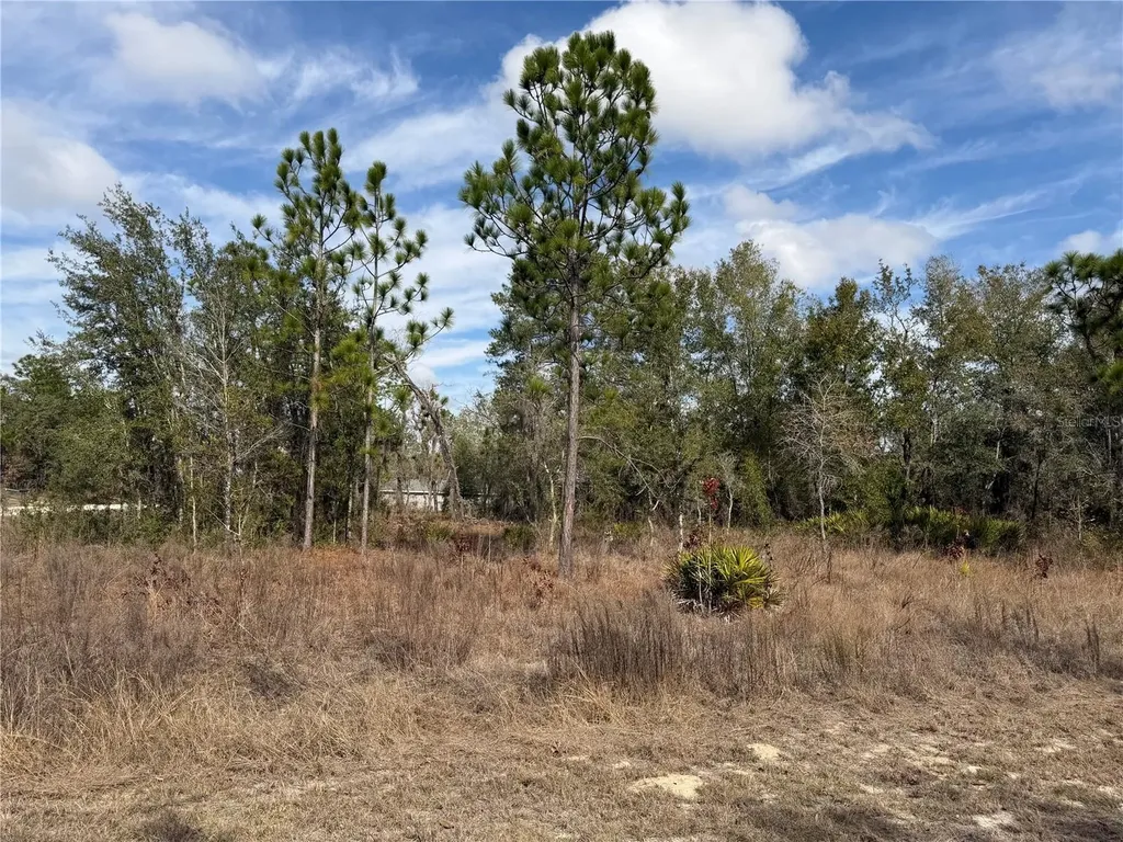 16426 Courlan Road Brooksville FL 34614