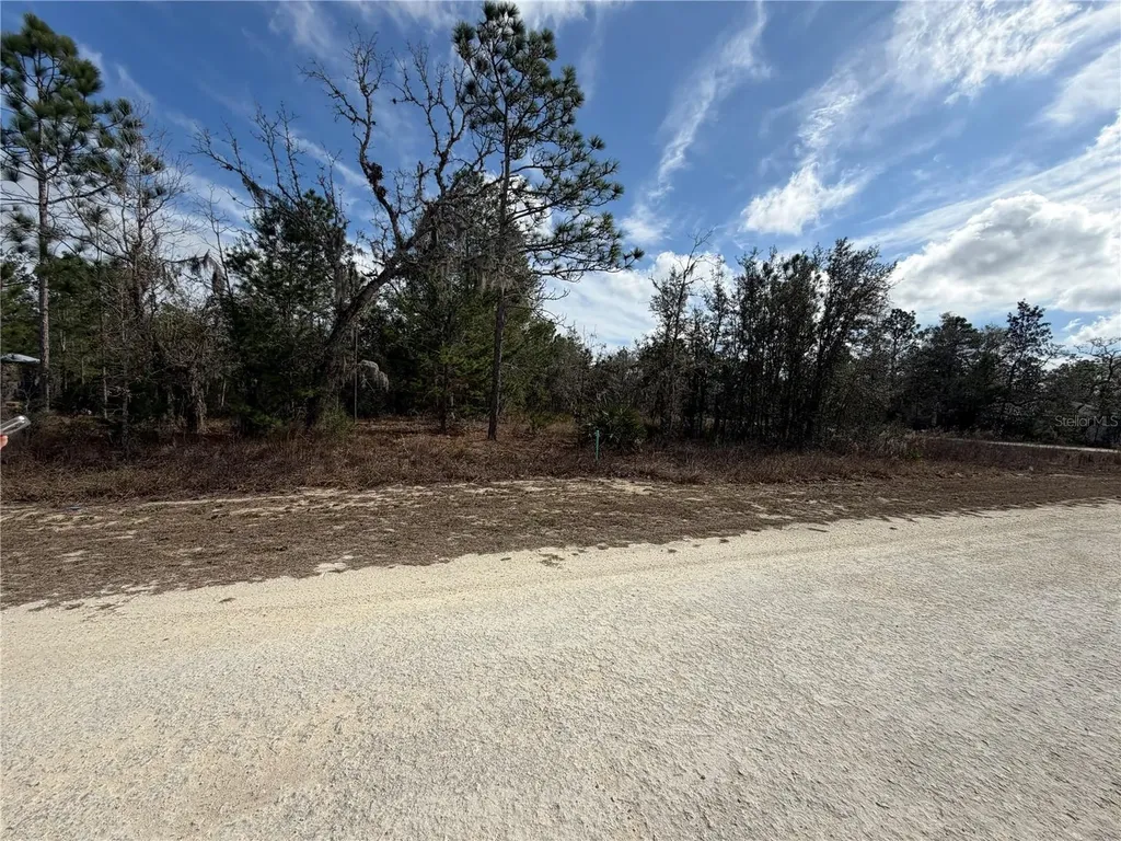 16426 Courlan Road Brooksville FL 34614
