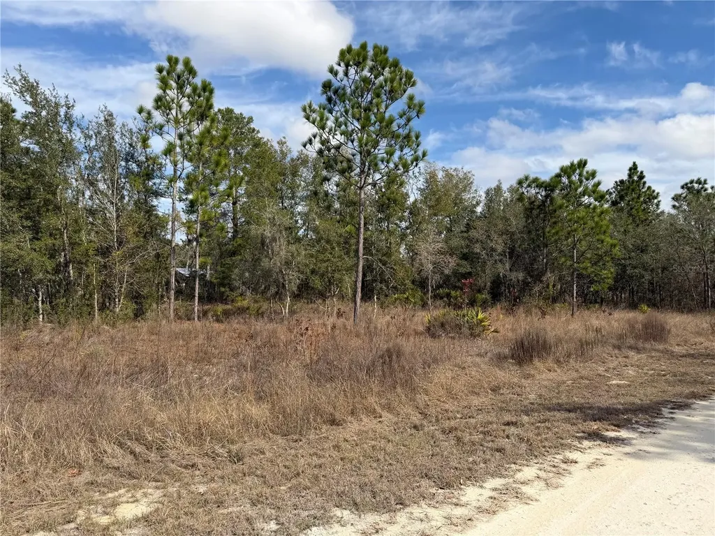 16426 Courlan Road Brooksville FL 34614
