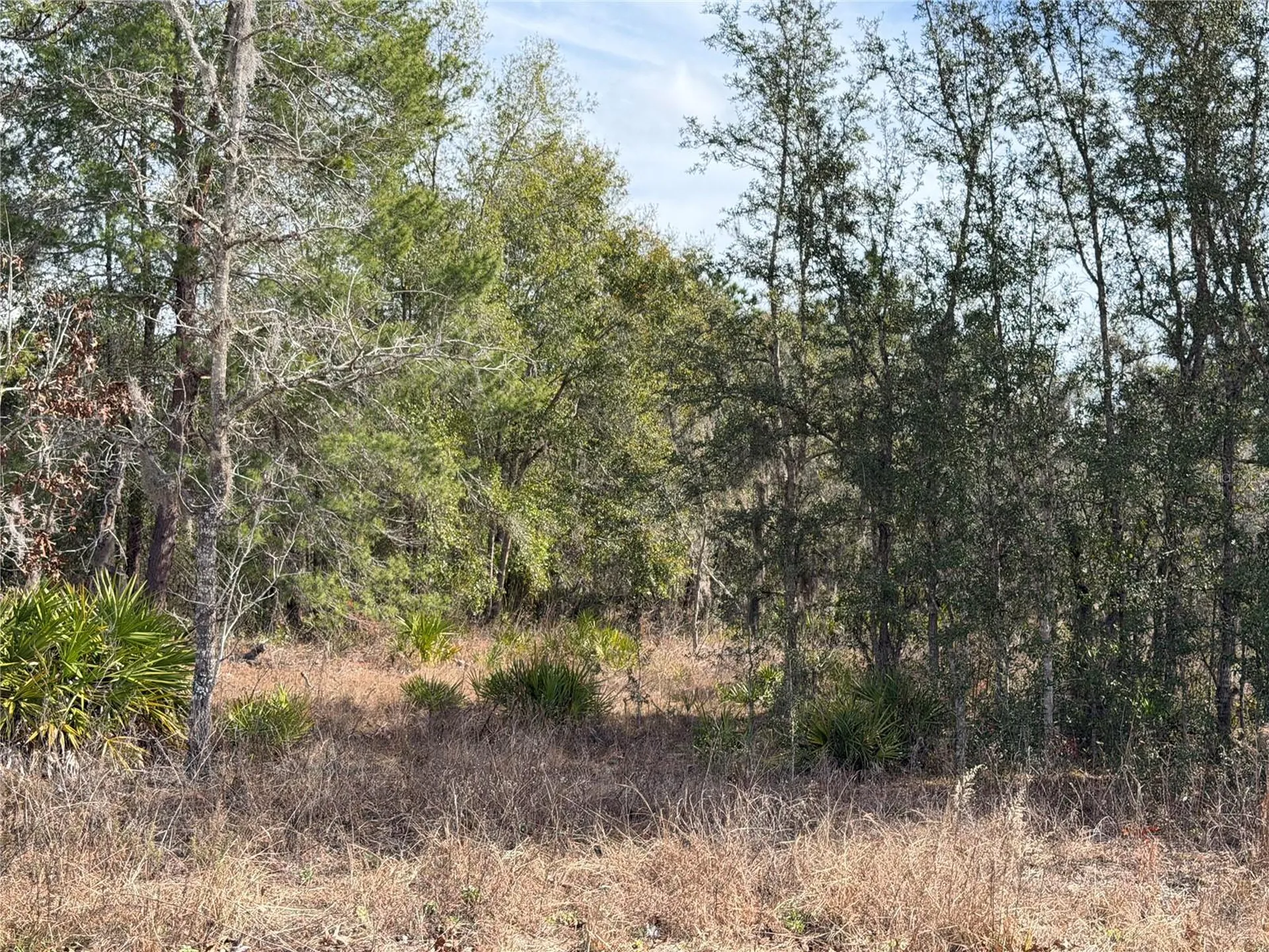 16426 Courlan Road Brooksville FL 34614