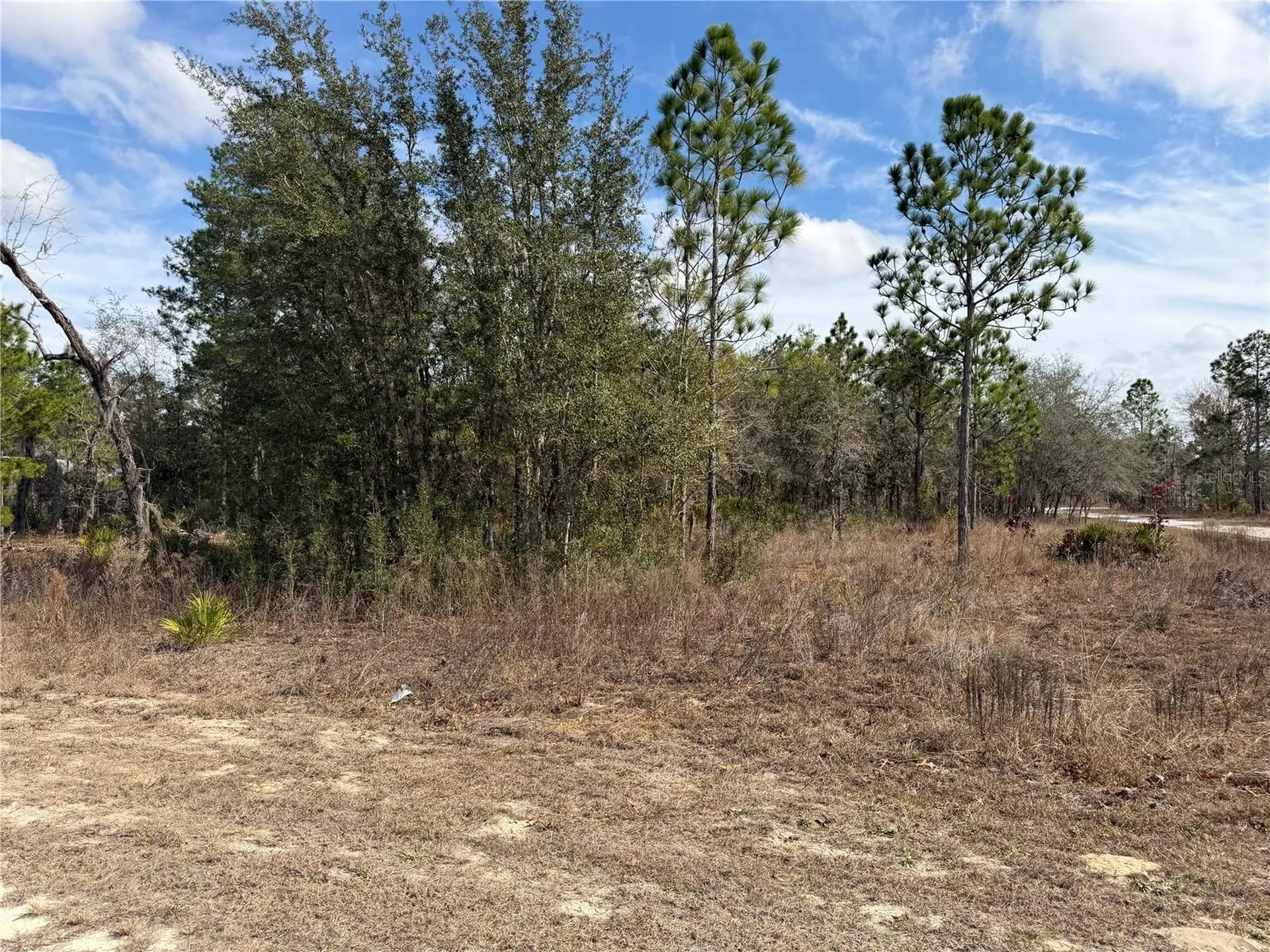 16426 Courlan Road Brooksville FL 34614