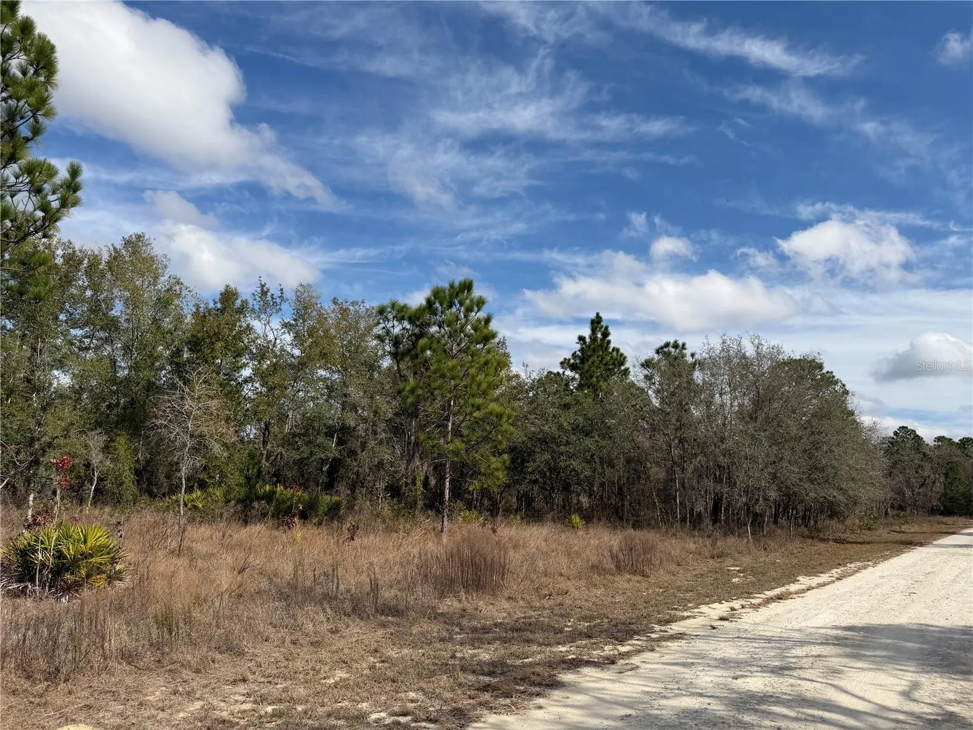 16426 Courlan Road Brooksville FL 34614
