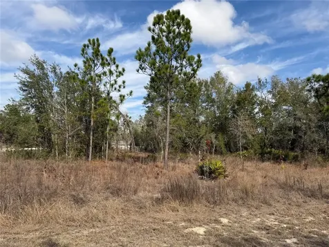 16426 Courlan Road Brooksville FL 34614