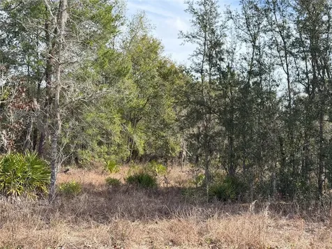 16426 Courlan Road Brooksville FL 34614